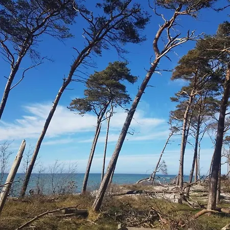 Holiday home Mit Garten In Zingst, Cleaning Included
